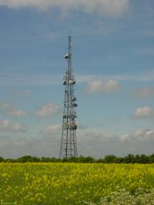 Greenwich Meridian Marker; England; Hertfordshire; Reed